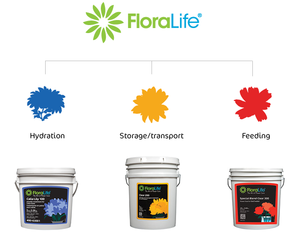 The Floralife product line was extensive. Breaking it down into stages of application helped to differentiate the many products Simplified color and flower species icons were used to differentiate the lines.